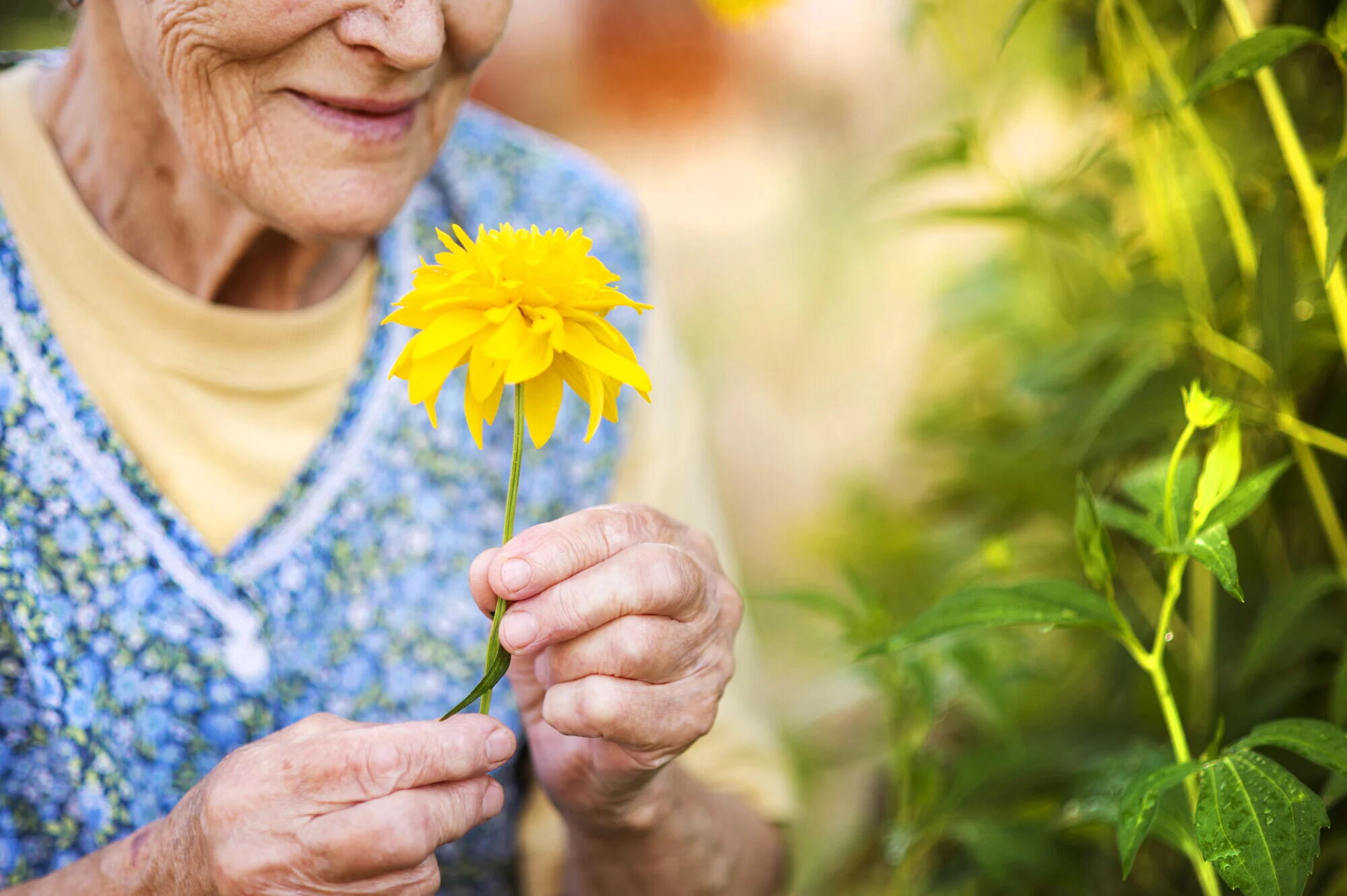 The Benefits of Community Gardens for Seniors