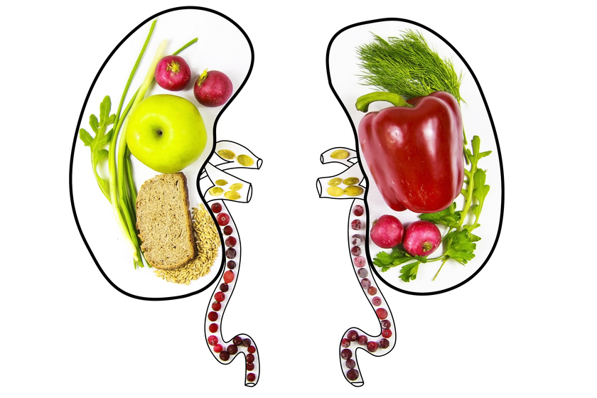 How Seniors Can Maintain Healthy Kidneys In 55 Plus Communities In Charlotte, NC