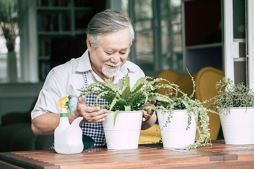 Why Environmental Wellness Matters When Choosing Senior Living Memory Care In Indian Trail, NC