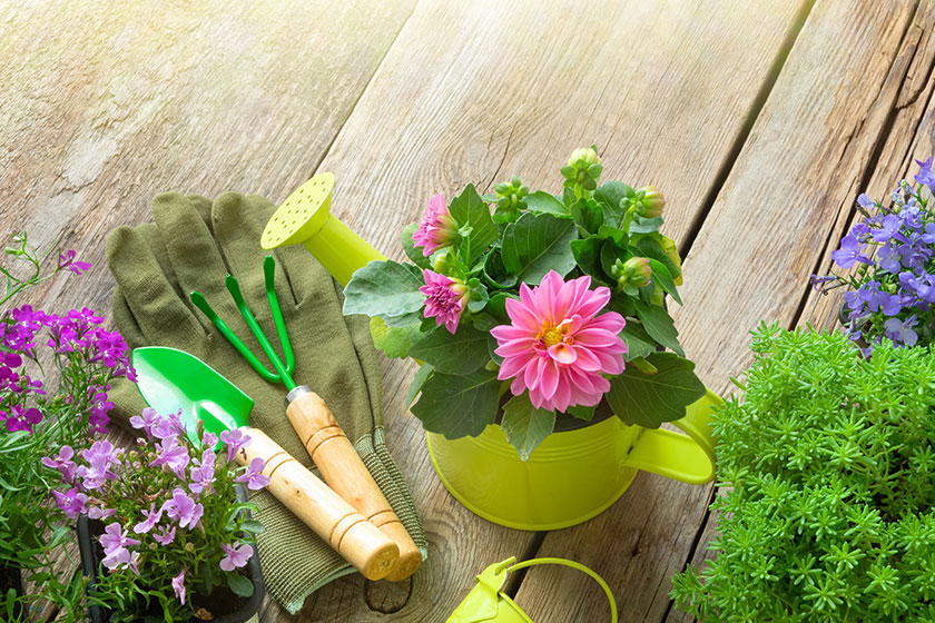 The Benefits Of Gardening For The Residents In Alzheimer's Care In Charlotte, NC