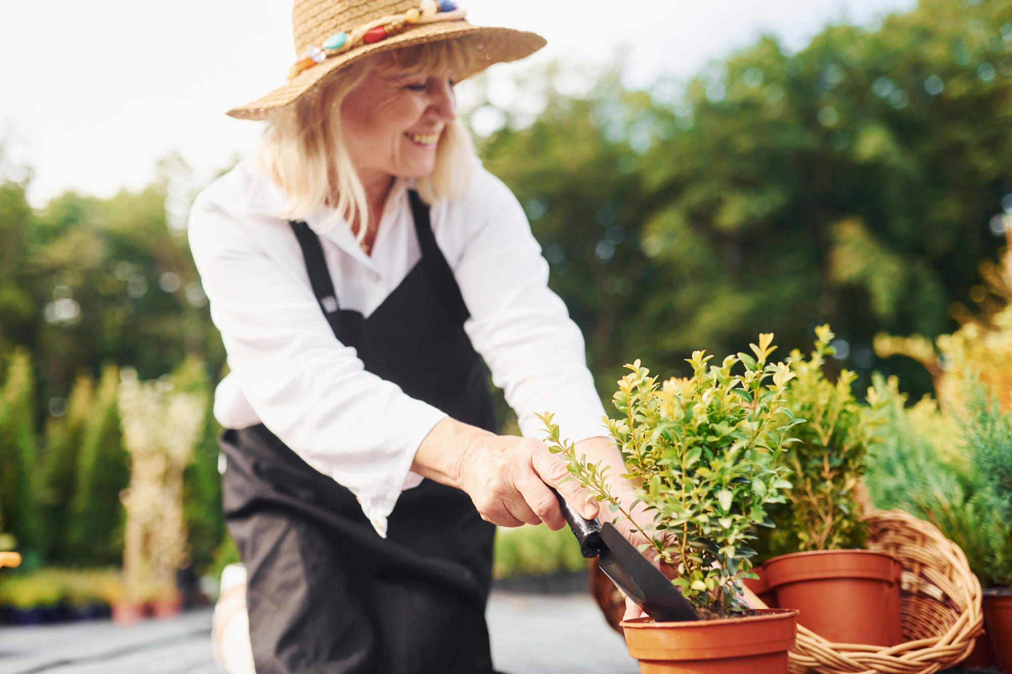 Winter Gardening Keeps Residents Active at TerraBella Little Avenue