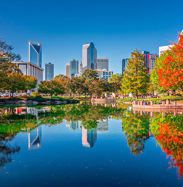 avenue-about-img1 avenue-about-img1